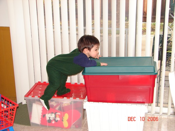 Aiden climbing on the ornament box! Photo