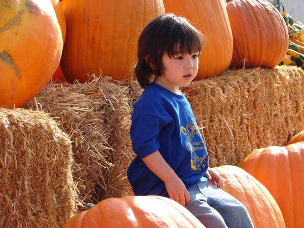 Preschool pumpkin patch field trip Photo